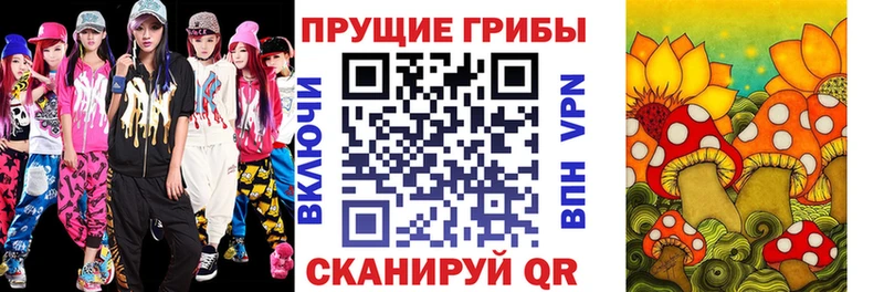 Галлюциногенные грибы Cubensis  Купить  Сосенский 